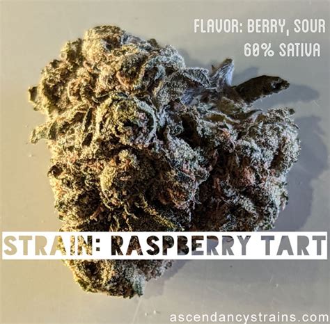 Fans of baked goods and pastries will enjoy the fruity, vanilla flavors of Berry Tart. With frosted, dark buds and dense trichomes, Berry Tart provides users with blissful feelings and a lighter sense of self.--Phenotype of: Wedding Cake--Lineage: Cherry Pie x Girl Scout Cookies--Type: Indica--Effects: Calming, Euphoric, Blissful--. 