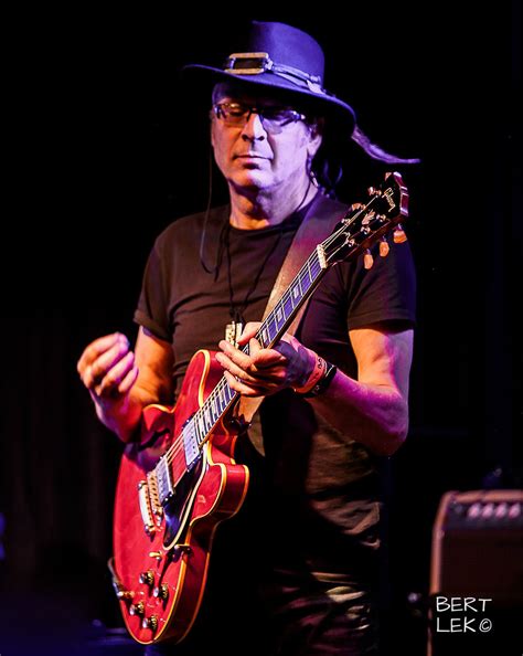 Bertlek Halı ve Koltuk Yıkama