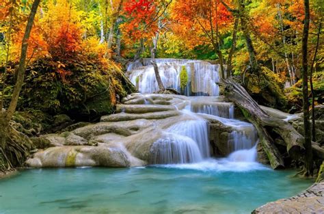 Berwyn il funeral homes.  Pre-need trust & insurance.  Contact Us - Adolf Funeral Home & C...