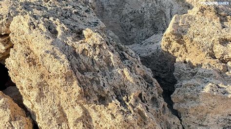 Besatli Halı ve Koltuk Yıkama