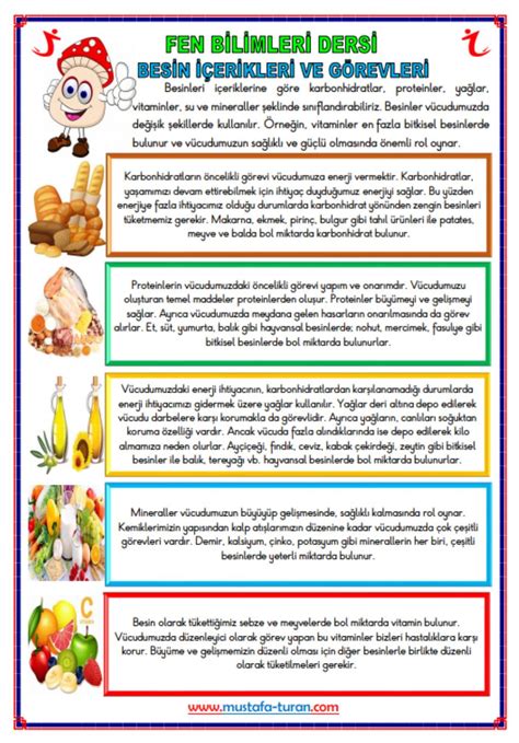 Besinler ve özellikleri 5 sınıf konu anlatımı