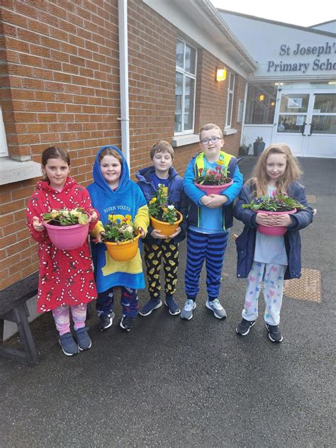 Bessbrook Primary School &Nursery Unit - Facebook