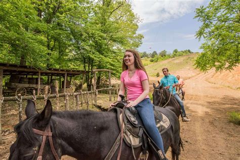 Best 12 Horse Riding Stable in Piedmont, SC with Reviews - Yellow …