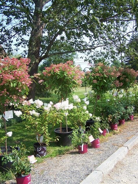 Best 12 Nurseries Greenhouses in Ellsworth, ME with …