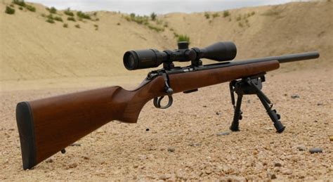 Best 17 hmr rifle. 17 HMR sight in distance thoughts. What do you sight in for. Not looking to compete, just to get the most out of the cartridge. 50Y 10 shot group then move to 100. Shooting for groups. Very little drop on level ground. 10 rounds at 10. Usually shooting different weights and brands. Ammo testing 17g 20g cci game points. 