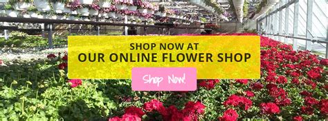 Best 20 Florists in Oak Hill, OH with Reviews - Yellow Pages