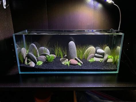 Best 3 Bookshelf Aquariums (Fish Tank) Fitting Any Interior