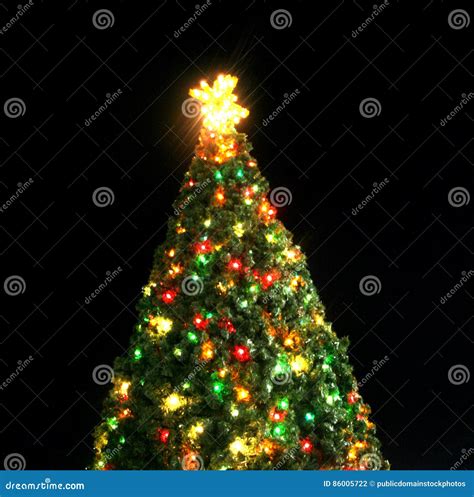 Best 3 Christmas Trees in Waco, TX with Reviews - Yellow …