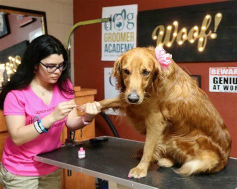 Best 30 Dog Grooming in Sanford, FL with Reviews - Yellow Pages