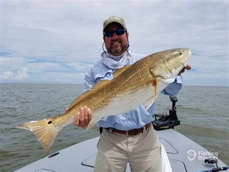 Best 30 Fishing in Port Saint Joe, FL with Reviews - Yellow Pages