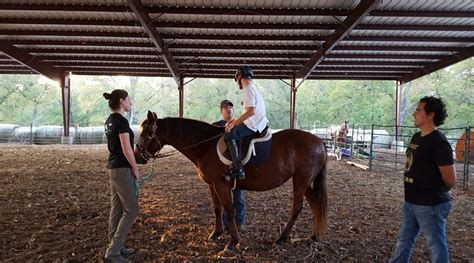 Best 30 Horse Therapy in Austin, TX with Reviews - Yellow Pages