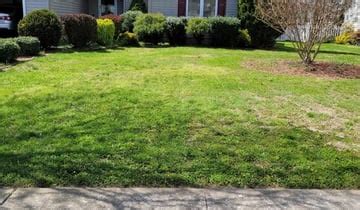 Best 30 Lawn Mowing in Niagara Falls, NY with Reviews