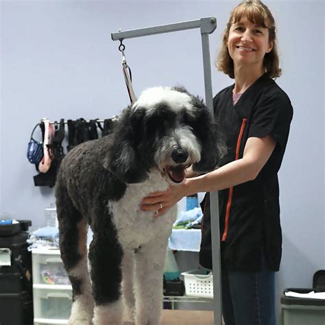 Best 30 Pet Grooming in Wallingford, CT superpages.com