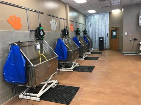 Best 30 Self Serve Dog Wash in Frisco, TX with Reviews - Yellow Pages