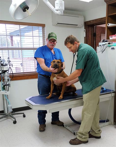 Best 30 Veterinary Clinics in Bryan, TX with Reviews