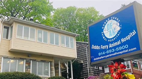 Best 30 Veterinary in Dobbs Ferry, NY with Reviews