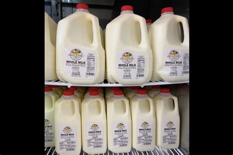 Best 4 Dairy Farms in Gadsden, AL with Reviews - Yellow Pages