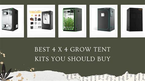 Best 4x4 Grow Tent: The Ultimate Guide to Choosing the Perfect One