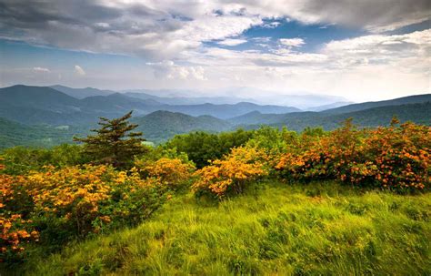 Best 5 Photographers in Highlands, NC with Reviews - Yellow Pages