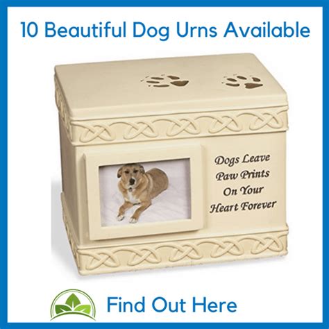 Best 6 Dog Cremation in Traverse City, MI with Reviews - Yellow …