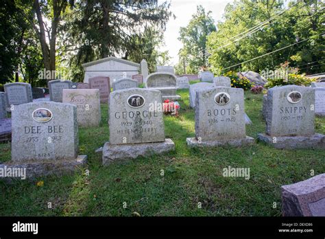 Best 9 Pet Cemeteries in Depew, NY with Reviews - Yellow Pages