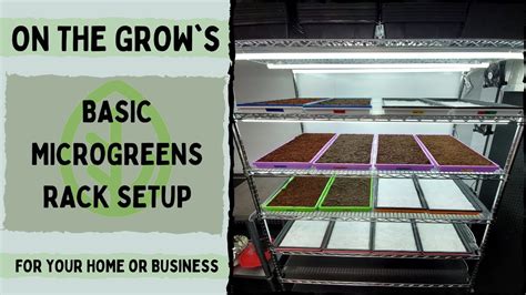 Best Basic Microgreen Rack System/Setup – DonnyGreens