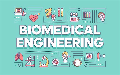 Best Biomedical Engineering schools in Texas [2024 Rankings]