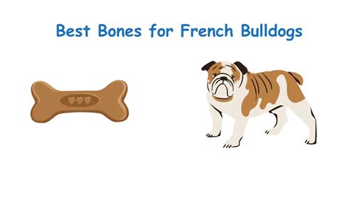 Best Bones For French Bulldog Puppies