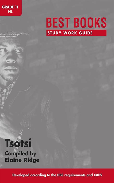 Best Books Study Work Guide: Tsotsi