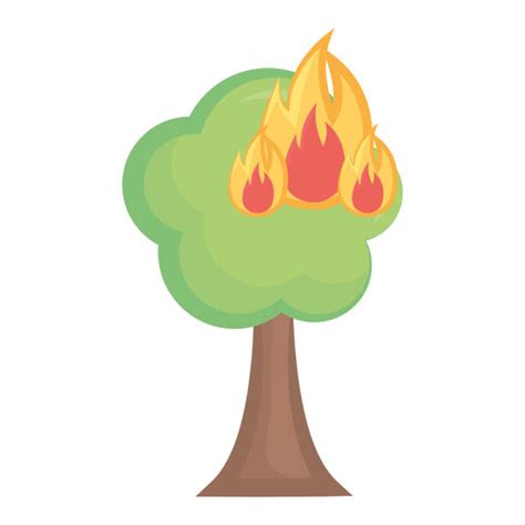 Best Burnt Tree Illustrations, RoyaltyFree Vector Graphics & Clip Art