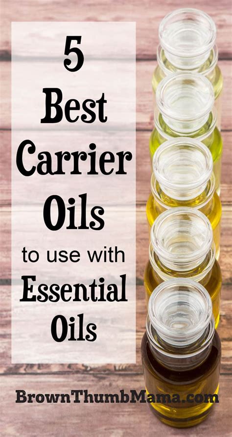 Best Carrier Oils & How to Use them with Essential Oils