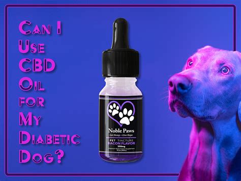 Best Cbd Oil For Diabetic Dogs
