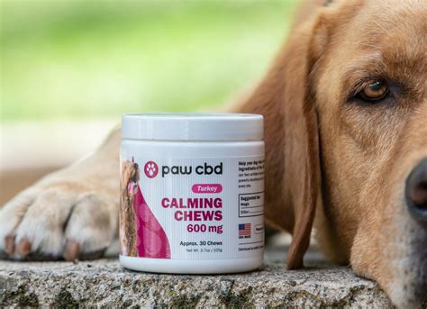 Best Cbd Products For Dogs To Calm
