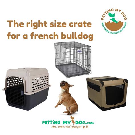 Best Crate Size For French Bulldog Puppy