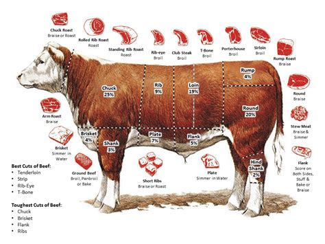 Best Cut Of Beef For Shredded Beef - TheSuperHealthyFood