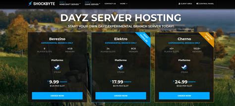 Best DayZ Server Hosts in Oceania