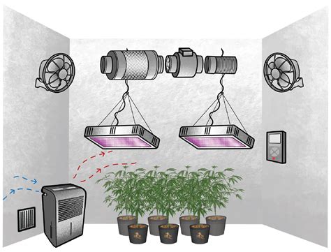 Best Dehumidifiers for Grow Tent: Conquer Humidity and Maximize Yields