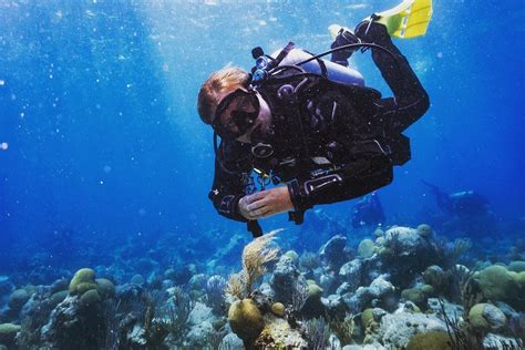 Best Dive Shop in Bermuda!! and possibly the best so far in all our ...