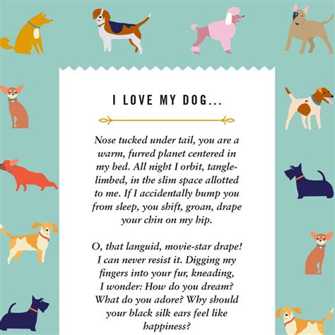 Best Dog Ever Poem