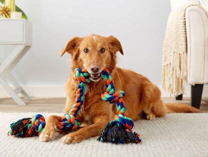 Best Dog Rope Toys PetGuide