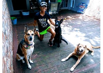 Best Dog Walkers in Arlington, TX Wag! - WagWalking