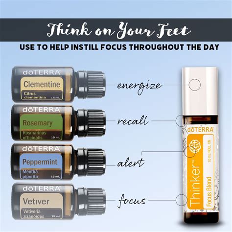 Best Essential Oils for Focus dōTERRA Essential Oils