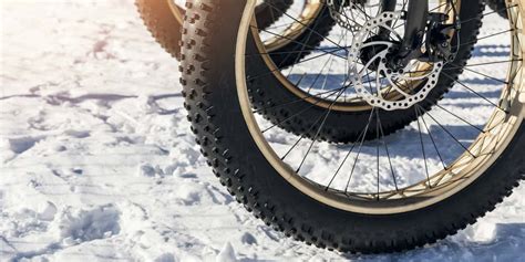 Best Fat Bike Wheels of 2024 - The Adventure Junkies