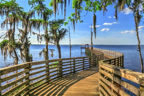 Best Fishing Spots in Jacksonville Beach, Florida