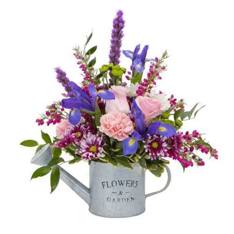 Best Florists in Montgomery, Illinois - botw.org