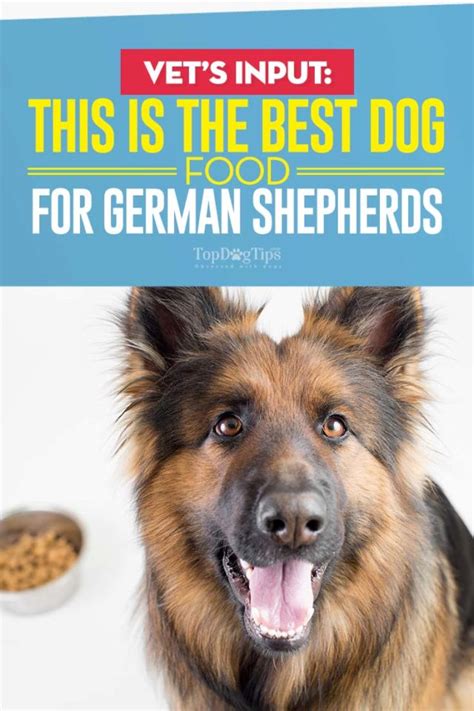 Best Food Brand For German Shepherd Puppy
