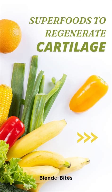 Best Food For Cartilage Growth: Foods That Help …