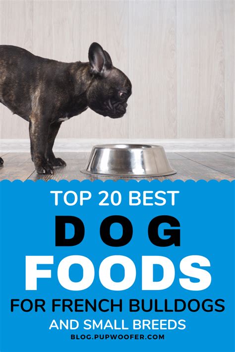 Best Food For French Bulldog Puppy With Sensitive Stomach