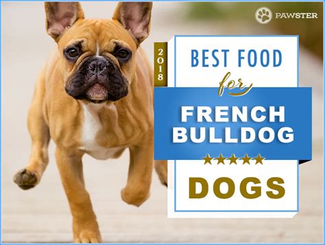 Best Food To Feed A French Bulldog Puppy