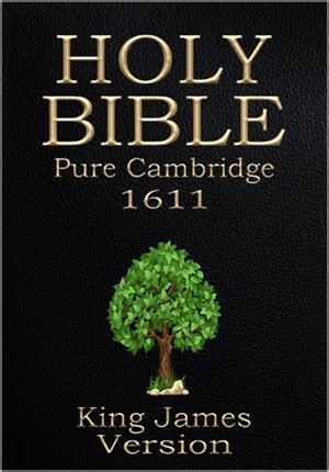 Best Free Bible for Kindle Paperwhite 2024 Download